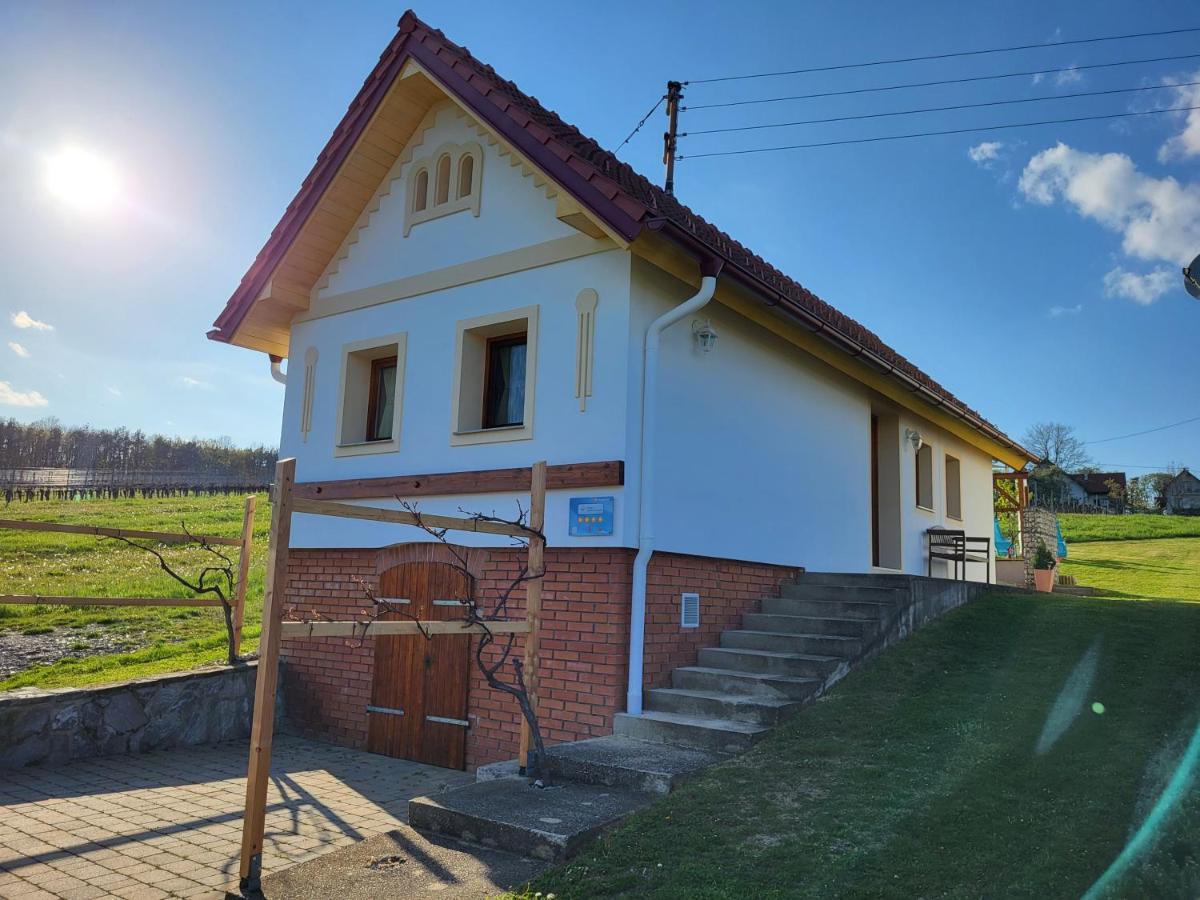 Вилла Kellerstoeckl Weinberg Eisenberg an der Pinka Экстерьер фото